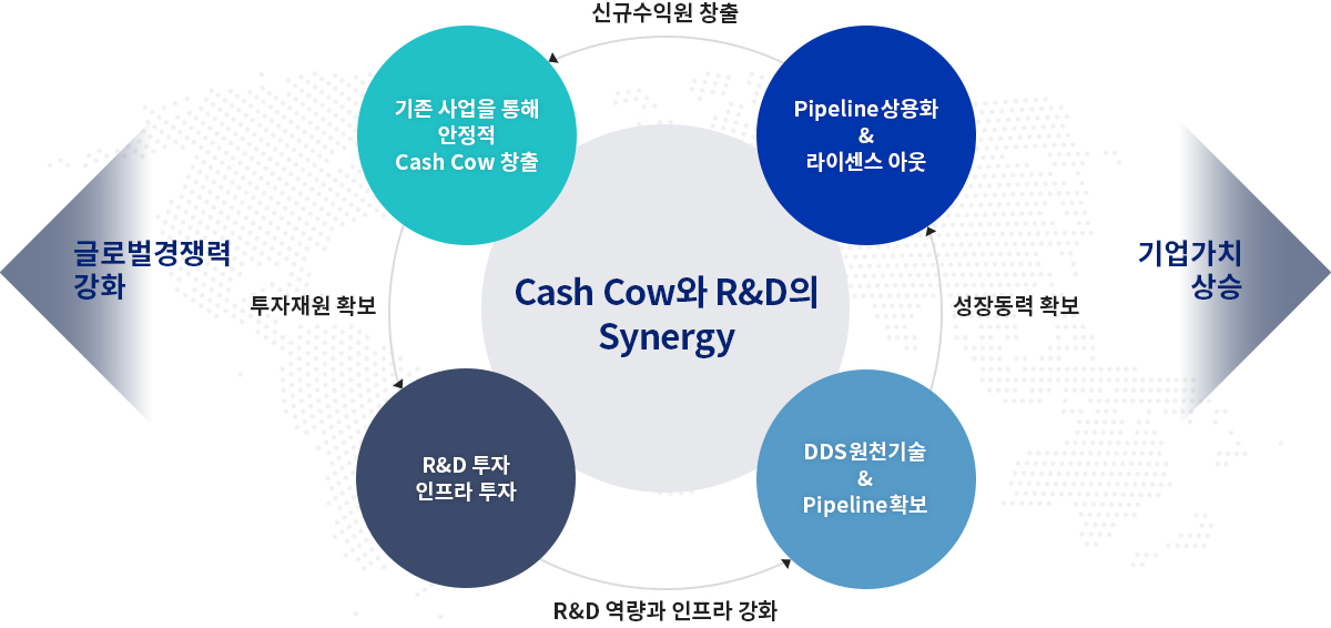 R&D와 Cash Cow의 선순환 구조